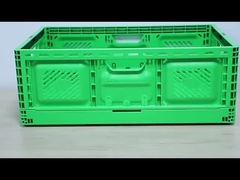 Außengröße 600*400*220mm Landwirtschaft Kunststoff Umzugskisten Behälter für Obst