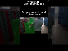 Stackbare, zusammenklappbare Kunststoffkiste für Supermarktfarmen Klappbare 600*400*220mm