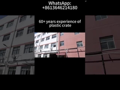 faltbare Kunststoffkiste Lagerung stapelbar Logistik Verpackung