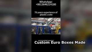 Produktion kundenspezifischer Euroboxen und VDA-Behälter | OEM-Fabrik für Logistikcontainer aus Kunststoff