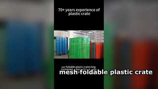 Mesh-faltbare Kunststoffkistenverpackung für Kunden in den USA, platzsparende wiederverwendbare Logistiklösung