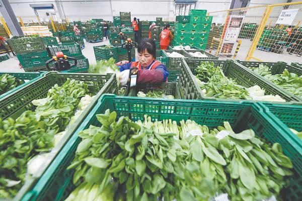 Neueste Unternehmensblogs über Warum 600×400×220mm Gitterboxen zum Standard für die Frischwarenlieferung auf der letzten Meile im Jahr 2026 werden