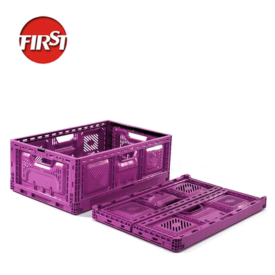 kaufen Bewegungsbox Klappbare Klappbare Plastik-Lagerbox Trauben 570x370x210mm Online-Herstellung