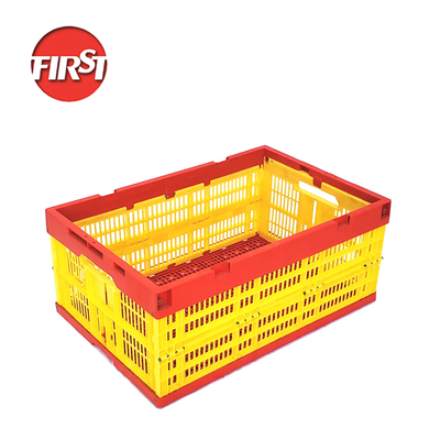 kaufen Innengröße 555*365*240mm Klappkiste für einfache Lagerung und Transport Online-Herstellung